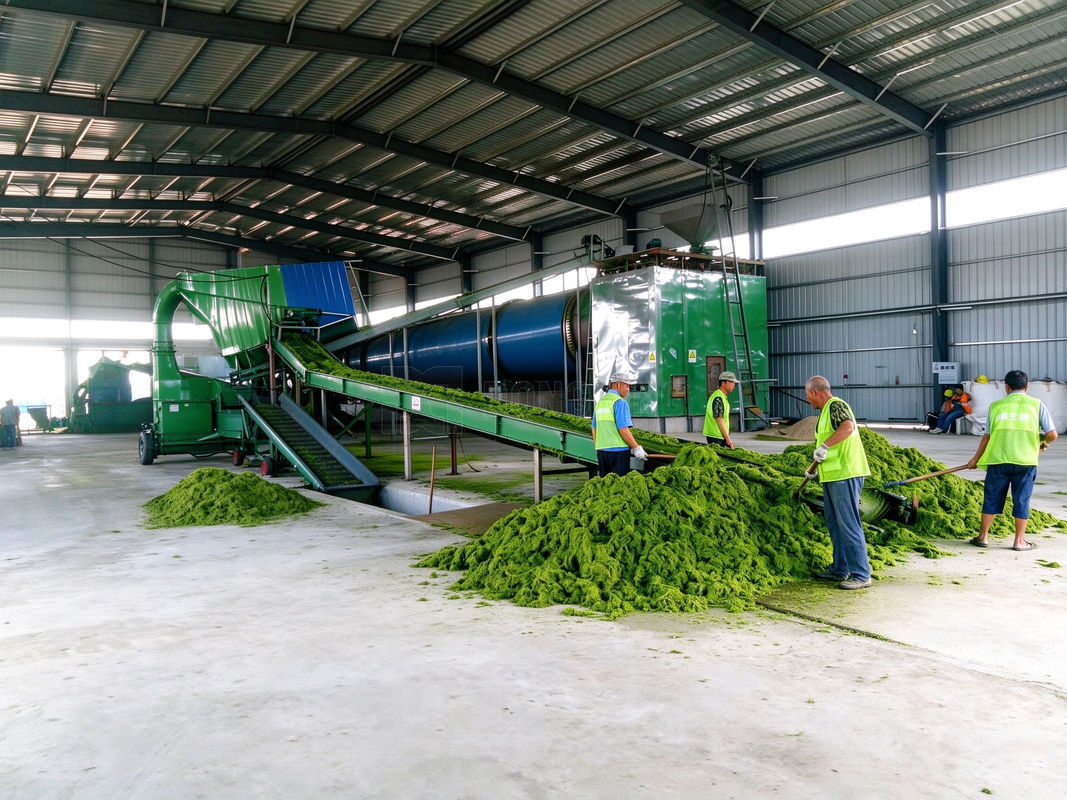 Alfalfa Rotary Dryer photo