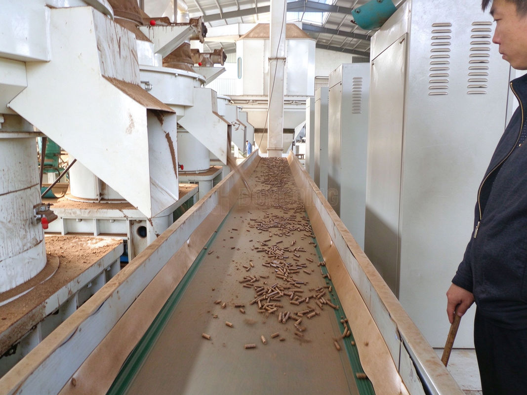 Biomass Pellet Production Line photo