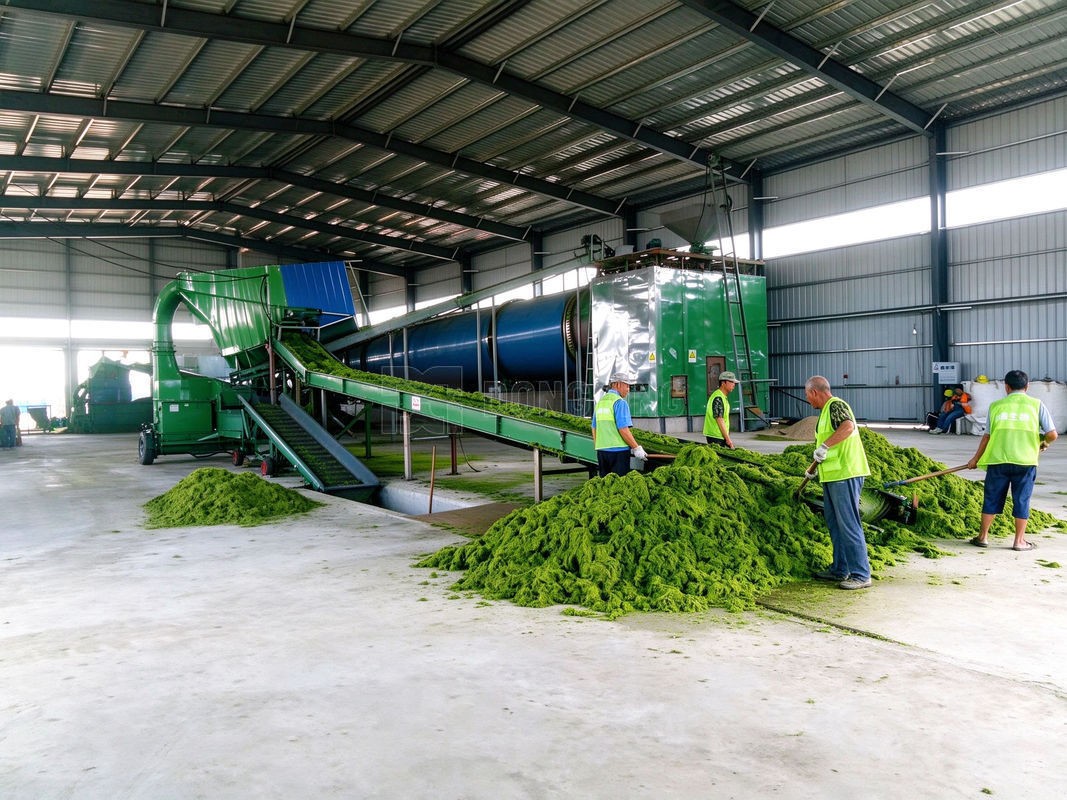 Alfalfa Rotary Dryer