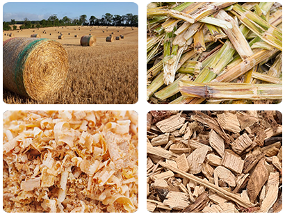 Pellet Production Line applicable materials